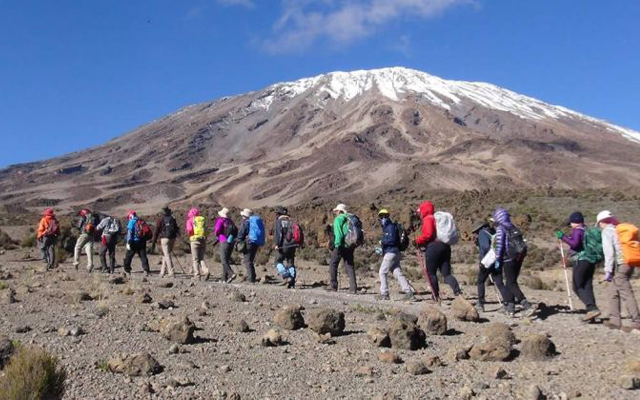 7 天勒莫绍路线乞力马扎罗山旅游 行程